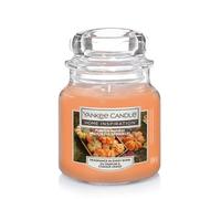Yankee Candle Scented Candle | Home Inspiration | Seasonal Pumpkin Harvest. Pumpkin Spice Candle | Small Jar Candle 104g | Up to 30 Hours Burn Time, Halloween Candles