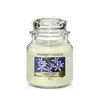 Yankee Candle Scented Candle | Midnight Jasmine Medium Jar Candle| Long Burning Candles: up to 75 Hours | Gifts for Women