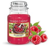 Yankee Candle Scented Candle | Red Raspberry Large Jar | Long Burning Candles: up to 150 Hours | Perfect Mothers Day and Easter Gifts for Women