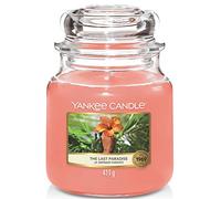 Scented Candle | The Last Paradise Medium Jar Candle| Burn Time: up to 75 Hours