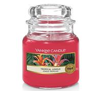 Yankee Candle Scented Candle | Tropical Jungle Small Jar Candle | Burn Time: Up to 30 Hours