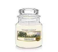 Yankee Candle Scented, Twinkling Lights Small Jar Candle, Burn Time: up to 30 Hours