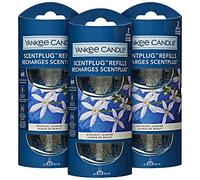 Yankee Candle ScentPlug Fragrance Refills | Midnight Jasmine Plug in Air Freshener Oil | Up to 60 Days of Fragrance | 6 Count