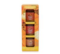 Yankee Candle Seasonal Gift Set - 3 Mini Candles: Spiced Pumpkin, Apple, and Pumpkin Banana Scone