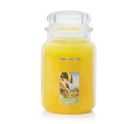 Yankee Candle Sicilian Lemon Scented Classic 22oz Large Jar Single Wick Candle Over 110 Hours of Burn Time Perfect for Home Decor Parties and Gifts