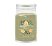 Yankee Candle Signature Sage & Citrus Large Jar Candle