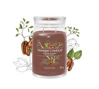 Yankee Candle Praline & Birch scented candle 567 g