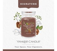 Yankee Candle Signature Scented Candle | Praline & Birch Large Jar Candle with Double Wicks | Soy Wax Blend Long Burning Candle | Perfect Gifts for Women, (1629987E)