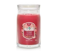 Yankee Candle Signature Large Jar Santa On Skis Print