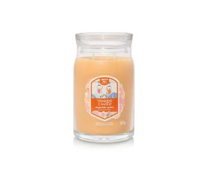 Yankee Candle Signature Large Jar Slopeside Spritz Print
