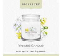 Yankee Candle Signature Medium Jar Midnight Jasmine