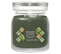 Yankee Candle Signature Medium Jar Olive & Cypress 567g