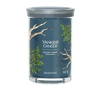 Yankee Candle 567g Bayside Cedar Signature Large Tumbler Candle