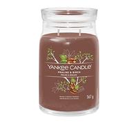 Yankee Candle Signature Scented Candle | Praline & Birch Large Jar Candle with Double Wicks | Soy Wax Blend Long Burning Candle | Perfect Gifts for Women, (1629987E)