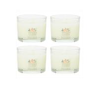 Yankee Candle Signature Votive Mini Candle Jar White Spruce & Grapefruit Scent Natural Soy Wax Blend Candle with Natural Fiber Wick 1.3 OZ Glass Ja