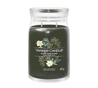 Debenhams Silver Sage & Pine Signature Large Jar Candle