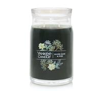Yankee Candle Silver Sage & Pine Scented Signature 20oz Large Jar 2-Wick Candle Over 60 Hours of Burn Time Christmas | Holiday Candle