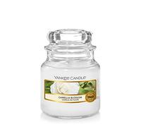 Yankee Candle Small Jar Candle | Camellia Blossom Scented Candle | Up to 30 Hours Burn Time | Garden Hideaway Collection