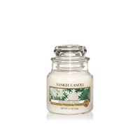 Yankee Candle Small Jar Candle, Sparkling Snow
