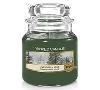 Yankee Candle Small Jar Scented Candle, Evergreen Mist, Alpine Christmas Collection, Up to 30 Hours Burn Time