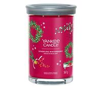 Sparkling Winterberry