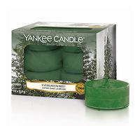Yankee Candle Tea Light Scented Candles, Evergreen Mist, Alpine Christmas Collection, 12 Count