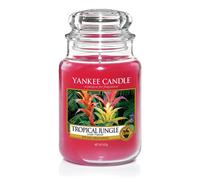 Yankee Candle Tropical Jungle Jar, Pink, 10.7 x 10.7 x 16.8 cm