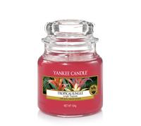 Yankee Candle Tropical Jungle Jar, Pink, 5.8 x 5.8 x 8.6 cm