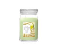 Yankee Candle Vanilla Lime Large Signature Jar Candle Green
