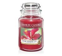 Yankee Candle Vanilla Lime scented jar candle, Glass, red, Large