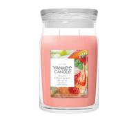 Yankee Candle White Strawberry Bellini Large Jar