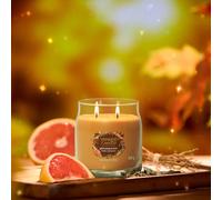 Yankee Candle Wick NEW Glistening Leaves Twin Medium Jar 368g