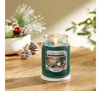 Yankee Candle Winter Fir 538g Large Jar - Fresh Festive Fragrance