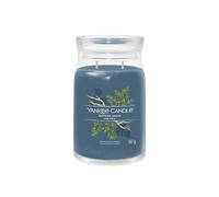 Yankee Candle Women's Signature Large Jar Bayside Cedar in Blue Yankee Candle Blue