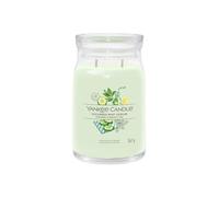 Yankee Candle Women's Signature Large Jar Cucumber Mint Cooler in Green Yankee Candle Green