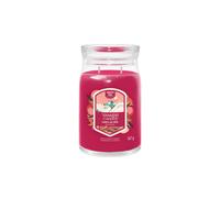 Yankee Candle Women's Signature Large Jar Santa On Skis Yankee Candle Multicolor