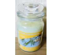 Yankee Candles - CHRISTMAS SCENTS - Medium/Large Jar - Up To 150 Hour Burn Time