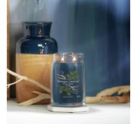 Yankee Signature Large Scented Candle - Bayside Cedar
