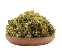 YankMooM 200g Hamster Moss,Dried Habitat Moss Forest Moss for Potted Plants Small Animal Habitat Decoration