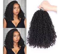 Yanky Twist Crochet Hair 12 Inch 9 Packs Small Passion Twist Crochet Hair Pre Looped Senegalese Twist Braids Natural Black Mini Spring Twist Crochet Hair Ombre Brown Synthetic