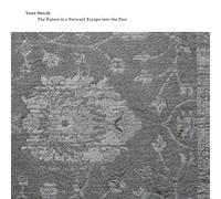 Yann Novak - The Future Is a Forward Escape into the Past