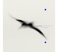 Yann Tiersen - Rathlin from a distance