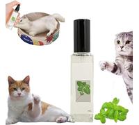 Yanobia Herbal Cat Joy Spray, Celery Pets Herbal Cat Joy, Herbal Cat Joy Catnip Spray for Indoor Cats, Cat Anxiety Relief, Cat Calming, Happy Living Space for Your Cat (1Pcs)