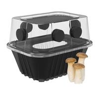 YANWEN Mushroom Growing Kit, Monotub Stackable, Fruiting Chamber with FAE Filters, Mushroom Grow Box for Indoor Use, 12.6 x 12.6 x 6.3 inches, Clear and Black