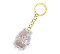 yanwuwa 2. Lightweight Pet Memorial Keychain Compact Clear Case For Dog Hair & Cremation Ashes Storage On-the-Go Clear Memorial Box Remembrance Keychain Loss Sympathy Gift