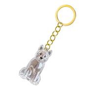 yanwuwa 2. Lightweight Pet Memorial Keychain Compact Clear Case For Dog Hair & Cremation Ashes Storage On-the-Go Clear Memorial Box Remembrance Keychain Loss Sympathy Gift
