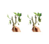yanwuwa 2Pcs Simulation Climbing Vine for Reptiles Hermit Crabs Crested Geckoes Safe Habitats Terrariums Landscape Accessory Terrariums Decoration