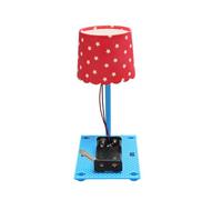 yanwuwa Classroom Lamp Building Set with Wiring Components, Table Display Project for Assembly Practice and Home Learning Time Science Lamp Making