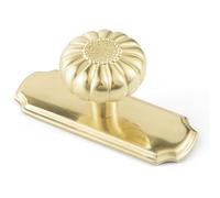 Yanxia Unlacquered Brass Cabinet Knob with Backplate, Solid Brass Pumpkin Drawer Pull for Kitchen and Vanity, 2 Pack