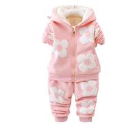 Yao Spring and Autumn Winter Fleece Flowers Warm Girls 2 Piece Set(2-3Y,Pink)